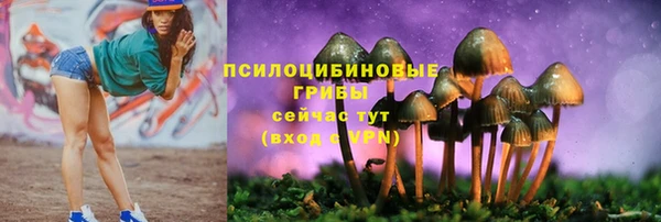 мескалин Бородино