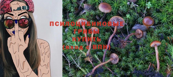 твердый Сосновый Бор